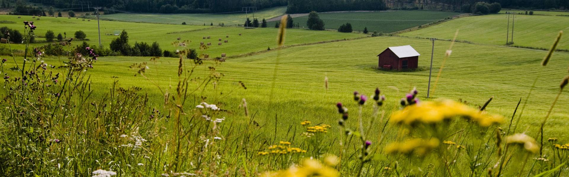 Hälsingland Schweden