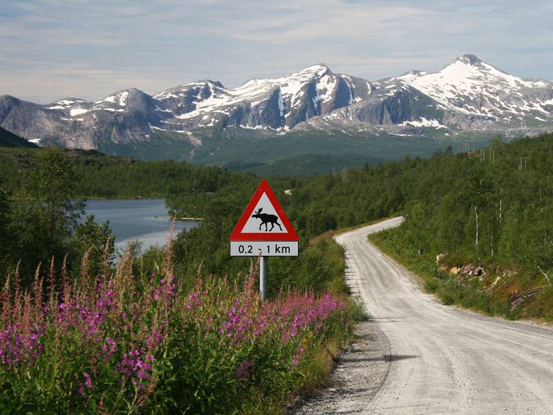 Autofahren Schweden Urlaub