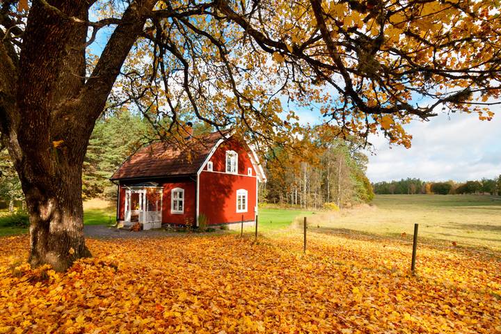 Herbsturlaub Schweden