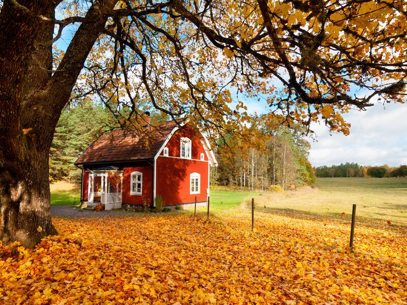 Herbsturlaub Schweden