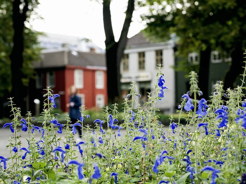 Stiftsgården Trondheim