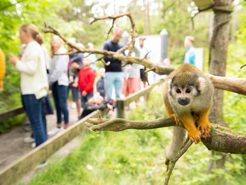 Tier- und Erlebnispark Dyreparken in Kristiansand Tierpark Kristiansand