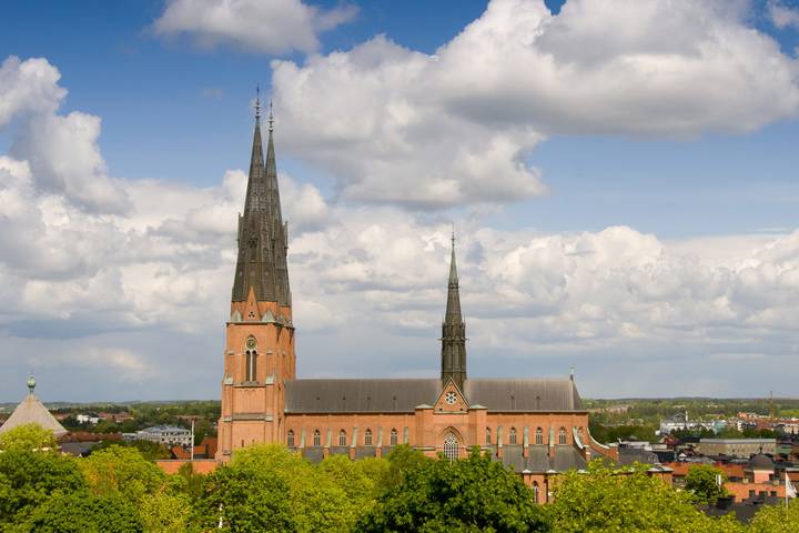 Dom Uppsala