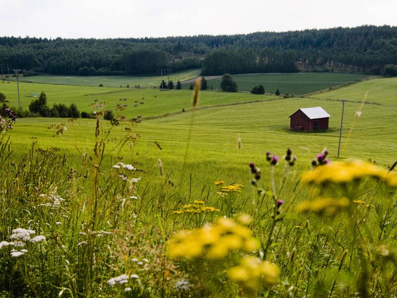 Hälsingland Schweden