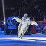 Stockholm Horse Show